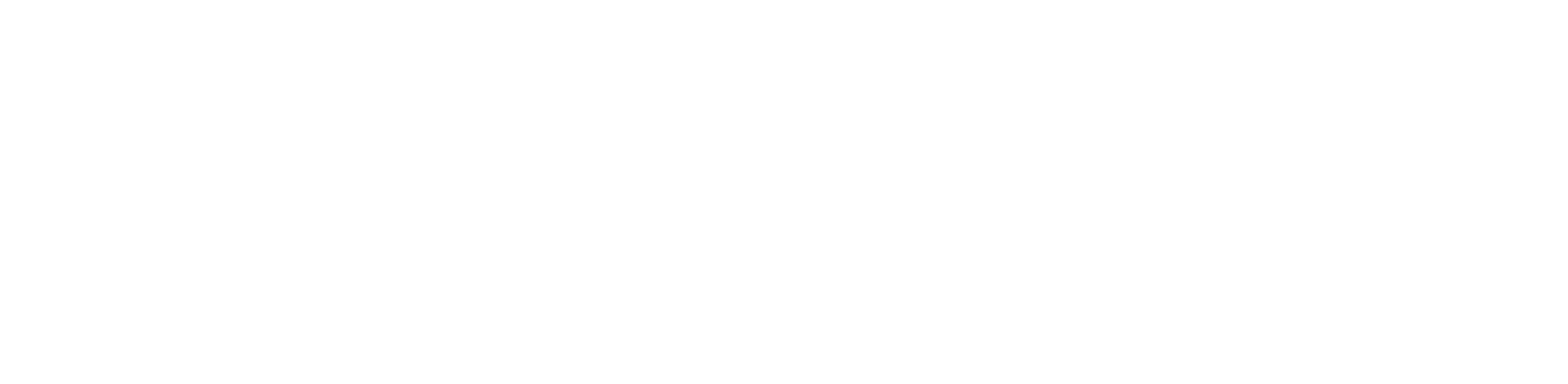Elevy Telecom